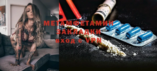ГАЛЛЮЦИНОГЕННЫЕ ГРИБЫ Корсаков