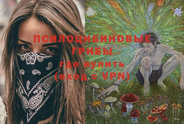 кокаин колумбия Алексин
