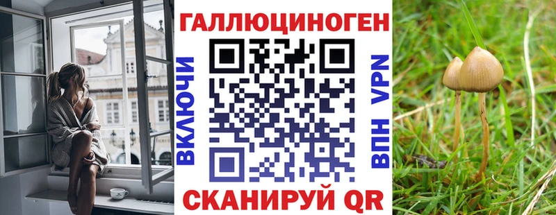 Псилоцибиновые грибы Psilocybe купить наркотики сайты Карасук